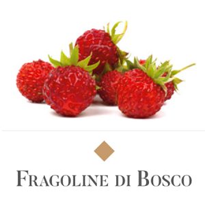 Panettone al Fragolino di Bosco